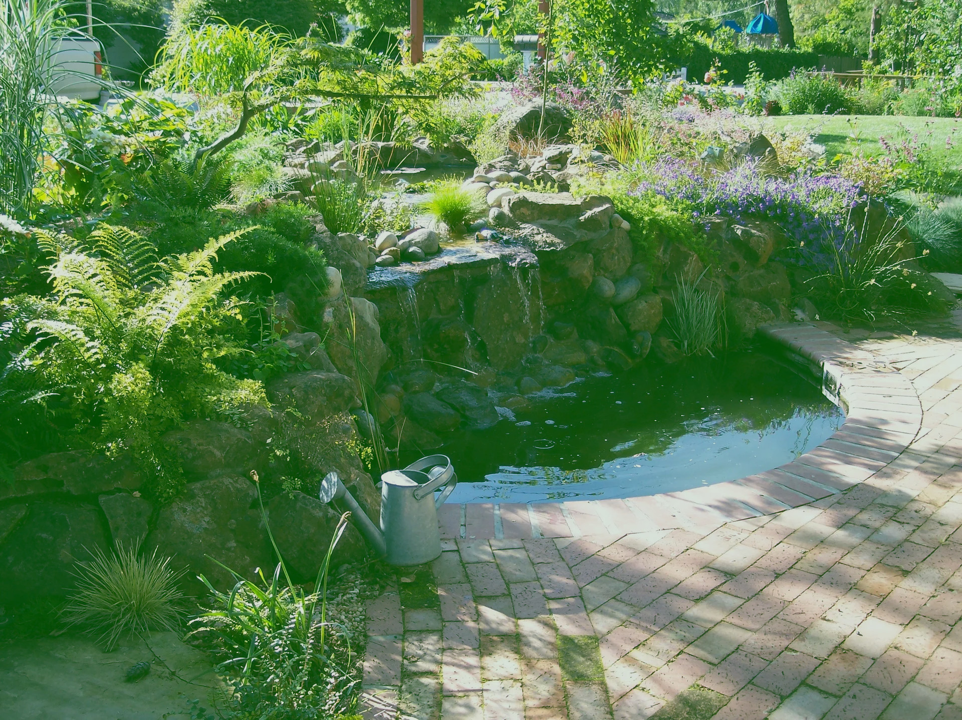 Avalon Landscape Design
